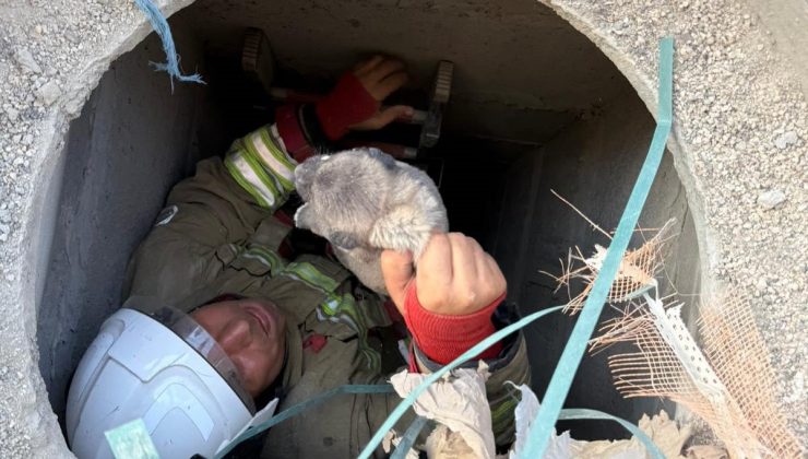 ANTAKYA’DA 5 METRELİK KUYUYA DÜŞEN YAVRU KÖPEK KURTARILDI   