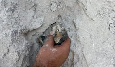 BETON ZEMİN MAHSUR KALAN YAVRU KEDİ İÇİN KIRILDI   