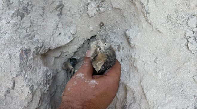 BETON ZEMİN MAHSUR KALAN YAVRU KEDİ İÇİN KIRILDI   