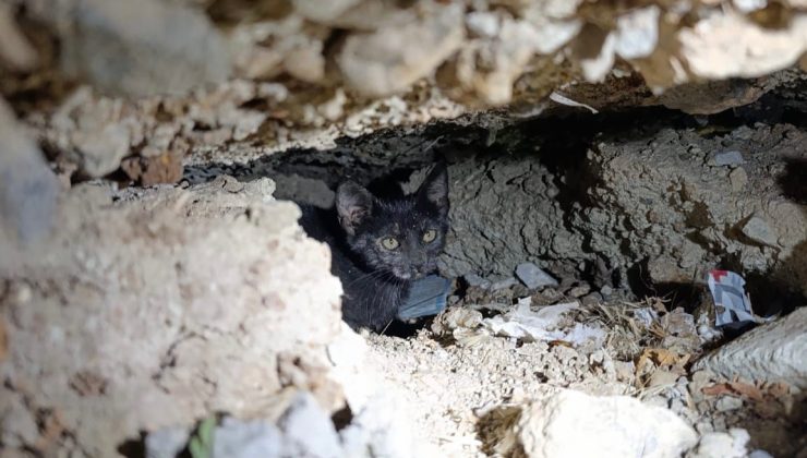 ANTAKYA’DA BETON BORU İÇİNDE SIKIŞAN KEDİ KURTARILDI   
