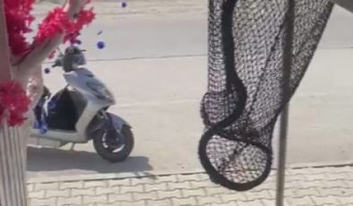 MARKETİN SOĞUTMA DOLABINA GİREN YILANI, İTFAİYE YAKALADI   