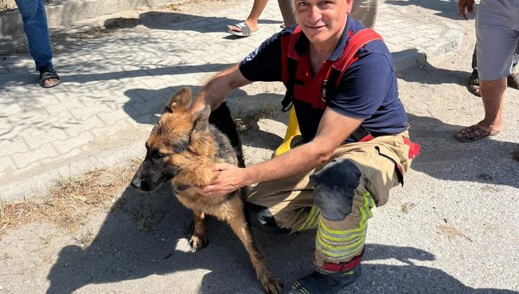 MİNİBÜSÜN ALTINDA SIKIŞIP MAHSUR KALAN KÖPEĞİ İTFAİYE KURTARDI   