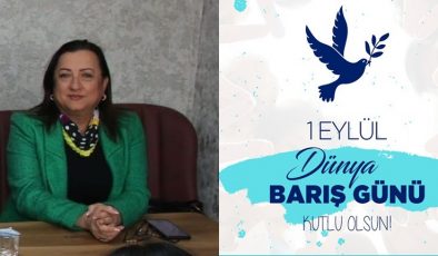 KARASU: “BARIŞ, İNSANLIĞIN ORTAK VİCDANIDIR”