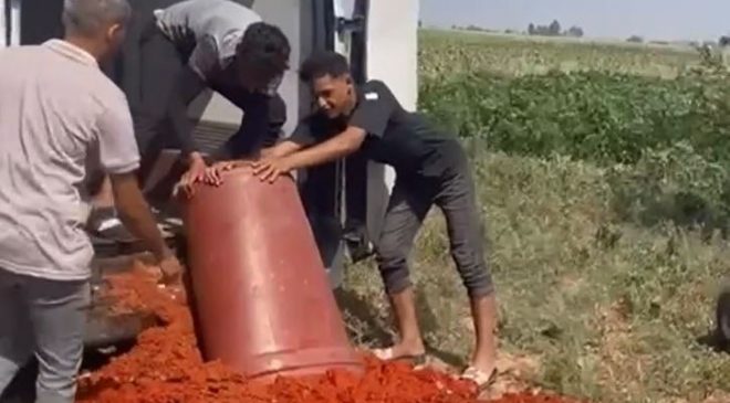 HATAY’DA ELE GEÇİRİLEN 6 TON BOZUK GIDA İMHA EDİLDİ 