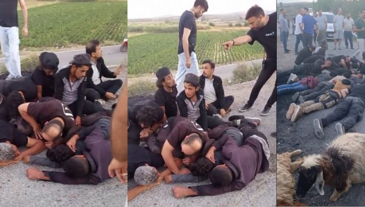 KOYUN SÜRÜSÜNE ÇARPIP, SU KANALINA DÜŞEN OTOMOBİLDEN 14 GÖÇMEN ÇIKTI