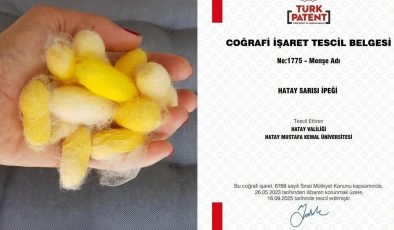 HATAY SARISI İPEĞİ COĞRAFİ İŞARET TESCİLİ ALDI 
