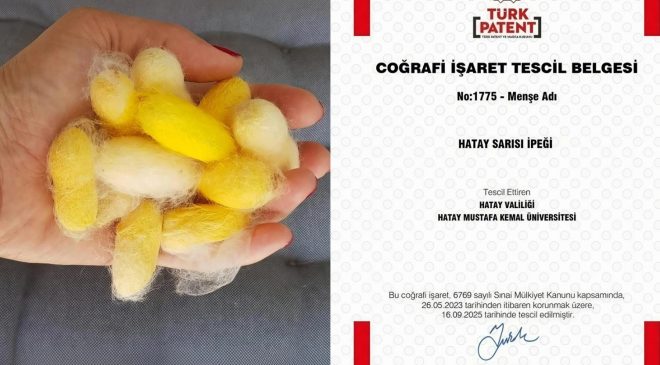 HATAY SARISI İPEĞİ COĞRAFİ İŞARET TESCİLİ ALDI 