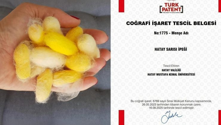 HATAY SARISI İPEĞİ COĞRAFİ İŞARET TESCİLİ ALDI 
