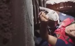 7 METRE DERİNLİĞİNDEKİ BOŞLUĞA DÜŞEN KEDİ, ZORLU OPERASYONLA KURTARILDI   