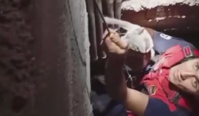 7 METRE DERİNLİĞİNDEKİ BOŞLUĞA DÜŞEN KEDİ, ZORLU OPERASYONLA KURTARILDI   