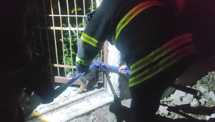 DEMİR KORKULUKLARA SIKIŞAN YAVRU KÖPEK İTFAİYE EKİPLERİNCE KURTARILDI   