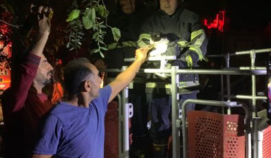 AĞAÇTA SIKIŞAN KEDİYİ İTFAİYE KURTARDI 