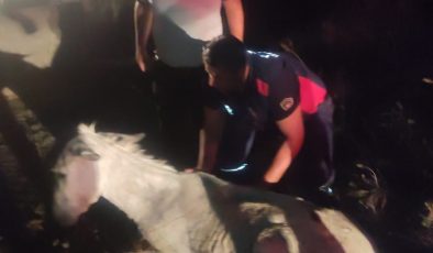BALÇIĞA SAPLANAN EŞEK VİNÇLE KURTARILDI   