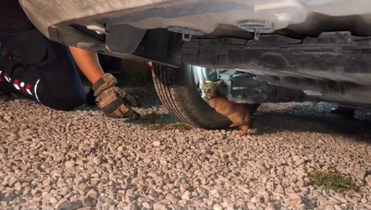 ÜŞÜYEREK ARACIN MOTORUNA GİREN YAVRU KEDİ, İTFAİYE EKİPLERİNİN ÇALIŞMASIYLA KENDİLİĞİNDEN ÇIKTI 