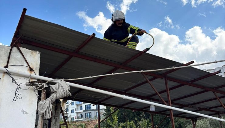 HATAY’DA EVE GİREN 2 YILANI İTFAİYE YAKALADI