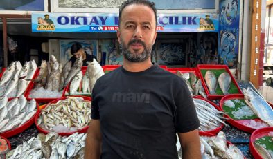 AKDENİZ’DE TEKNENİN ÇAPA HALATINA DOLANAN DEVASA BÜYÜKLÜKTEKİ KÖPEKBALIĞI BALIKÇILARA KORKU DOLU ANLAR YAŞATTI 