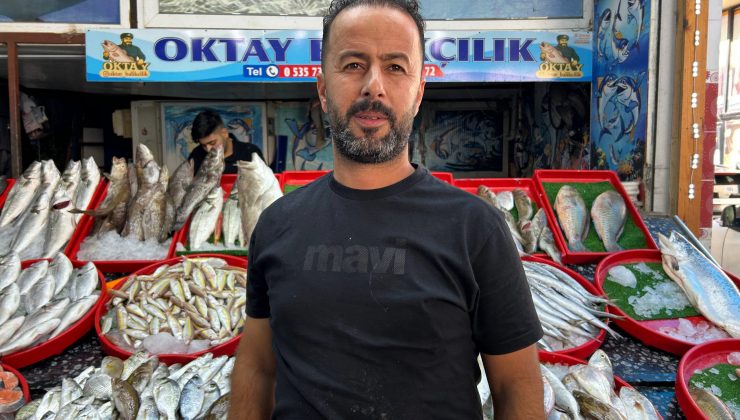 AKDENİZ’DE TEKNENİN ÇAPA HALATINA DOLANAN DEVASA BÜYÜKLÜKTEKİ KÖPEKBALIĞI BALIKÇILARA KORKU DOLU ANLAR YAŞATTI 