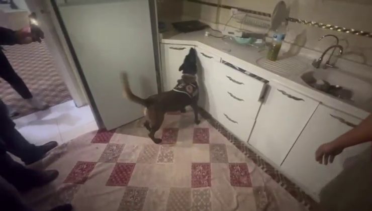 KASAYA ZULALANAN 10 KİLOLUK UYUŞTURUCUYU NARKOTİK KÖPEĞİ ‘ALİS’ BULDU
