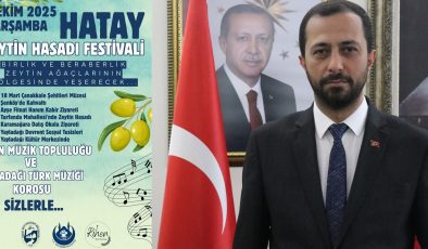 YAYLADAĞI’NDA ZEYTİN HASADI FESTİVALİ BAŞLIYOR