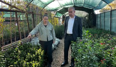 KIRIKHAN’DA YEŞİL DOKU GÜÇLENİYOR