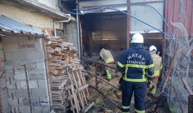 DEFNE’DE SAMANLIK YANGINI   