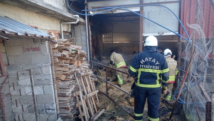 DEFNE’DE SAMANLIK YANGINI   