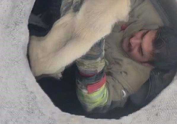 RÖGARDA MAHSUR KALAN YAVRU KÖPEĞİ İTFAİYE KURTARDI 