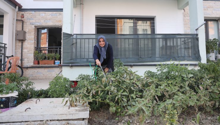 “KADIN ELİ DEĞEN HER YER GÜZELLEŞİR” SÖZÜ GERÇEK OLDU: DEPREMZEDE KADIN YENİ YUVASININ BAHÇESİNİ EKTİĞİ SEBZELERLE GÜZELLEŞTİRDİ  