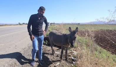 TELEF OLAN EŞEĞİN SIPASI, ÖLÜ ANNESİNİN BAŞINDA SAATLERCE BEKLEDİ  