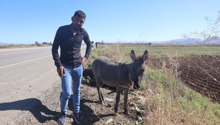 TELEF OLAN EŞEĞİN SIPASI, ÖLÜ ANNESİNİN BAŞINDA SAATLERCE BEKLEDİ  