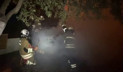 PARK HALİNDEKİ OTOMOBİL ALEVLERE TESLİM OLDU   