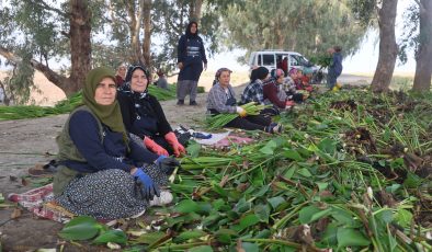İSTİLACI SU SÜMBÜLLERİ DEPREMZEDE KADINLARIN ELLERİNDE SANAT ESERİNE DÖNÜŞÜYOR   
