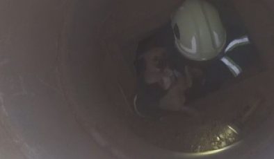 HATAY’DA 6 METRELİK ÇUKURDA MAHSUR KALAN YAVRU KÖPEĞİ İTFAİYE KURTARDI   