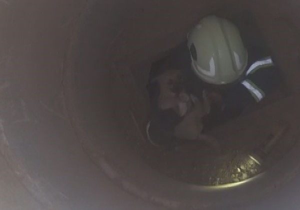 HATAY’DA 6 METRELİK ÇUKURDA MAHSUR KALAN YAVRU KÖPEĞİ İTFAİYE KURTARDI   