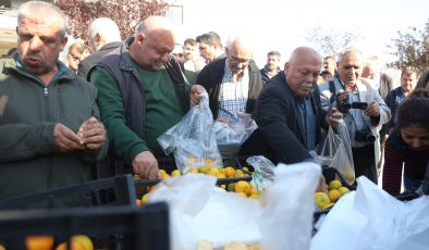 MANDALİNANIN FİYATI 2 TL’YE DÜŞÜNCE TONLARCA ÜRÜNÜ VATANDAŞLARA ÜCRETSİZ DAĞITTILAR 