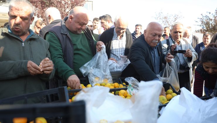 MANDALİNANIN FİYATI 2 TL’YE DÜŞÜNCE TONLARCA ÜRÜNÜ VATANDAŞLARA ÜCRETSİZ DAĞITTILAR 