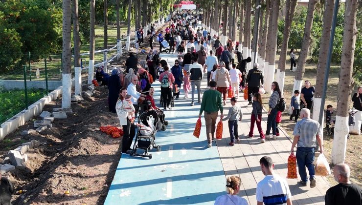 FİLESİNİ ELİNE ALAN VATANDAŞLAR DALINDAN BEDAVA NARENCİYE TOPLADI  