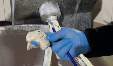 FIRIN DENETİMİNDE MİDE BULANDIRAN GÖRÜNTÜLER, ZABITA BÖCEK ÇEŞİTLERİNİ SAYMAKLA BİTİREMEDİ   