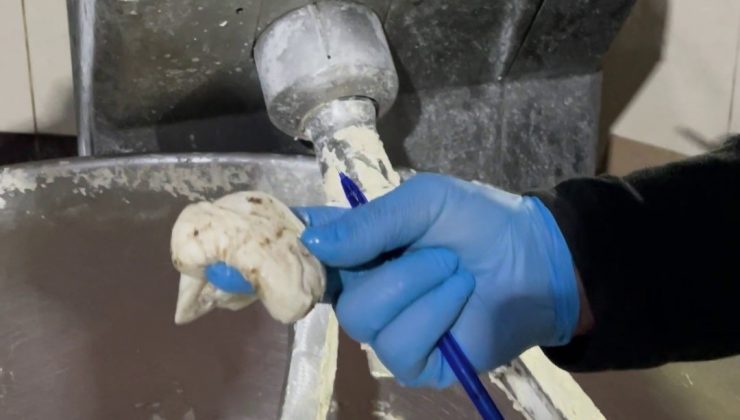 FIRIN DENETİMİNDE MİDE BULANDIRAN GÖRÜNTÜLER, ZABITA BÖCEK ÇEŞİTLERİNİ SAYMAKLA BİTİREMEDİ   