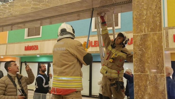 HATAY’DA DUVAR BOŞLUĞUNA SIKIŞAN KEDİ İTFAİYE EKİPLERİNCE KURTARILDI   