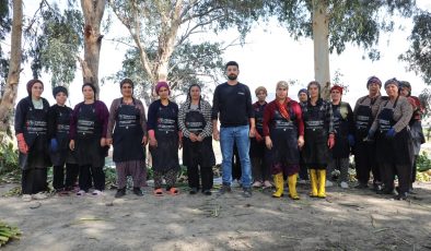 GÖLBAŞI GÖLÜ’NDE SU SÜMBÜLLERİ EKONOMİYE KAZANDIRILIYOR