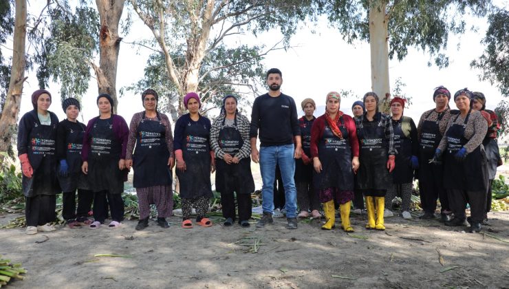 GÖLBAŞI GÖLÜ’NDE SU SÜMBÜLLERİ EKONOMİYE KAZANDIRILIYOR