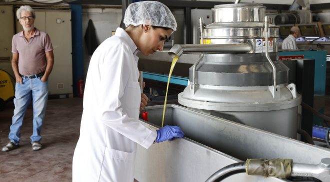 HBB’DEN ZEYTİNYAĞI FABRİKALARINA DENETİM