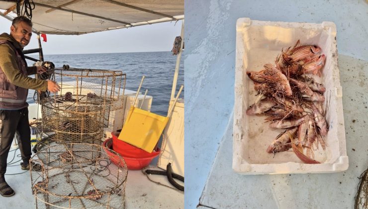 HATAY’DA DENİZLERDE İSTİLACI TÜRLERLE MÜCADELE SÜRÜYOR 