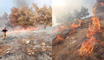 HATAY’DA ORMAN YANGININA MÜDAHALE SÜRÜYOR 