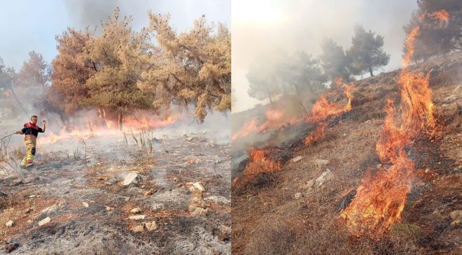 HATAY’DA ORMAN YANGININA MÜDAHALE SÜRÜYOR 