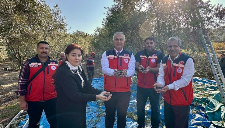 HATAY’DA ZEYTİN ÜRETİCİLERİ BİLGİLENDİRİLDİ 