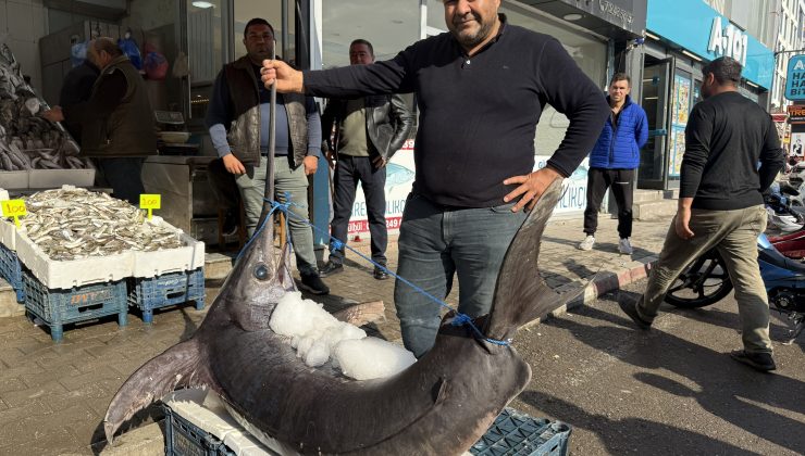 138 KİLOLUK KILIÇ BALIĞI İLGİ ODAĞI OLDU 