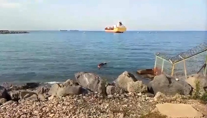 GEMİDEN DENİZE DÜŞEN ANGUS YÜZEREK KARAYA ULAŞTI  