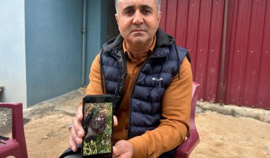 MERHAMETLİ ÇİFTÇİ, YILLARIN EMEĞİNE KEMİREREK ZARAR VEREN TAVŞANLARI “BUNLAR ŞİMDİ HAZIRLANIYOR, DOĞAN’IN FİDANINI NASIL YİYECEĞİM DİYE DÜŞÜNÜYOR” DİYEREK ELLERİYLE YAKALADI 